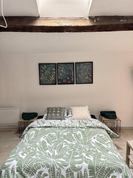 Studio Confortable Annonay Exterior foto